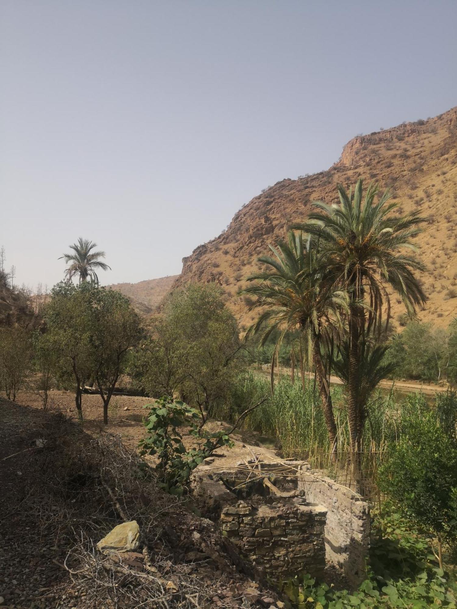 טליווין Auberge Kasbah Amoun מראה חיצוני תמונה